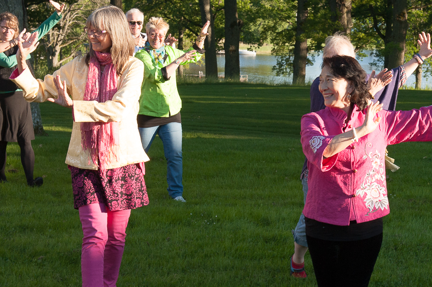 Qigong i Botaniska trädgården (dekorativ bild)
