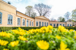 Familjevisning i Linnéträdgården (Dekorativ bild)