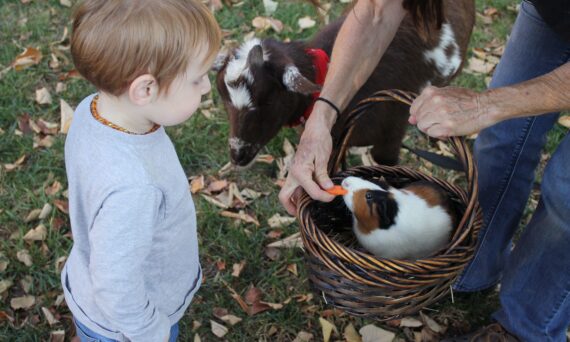 Höstlovsdagläger på Gränby 4H-gård (dekorativ bild)