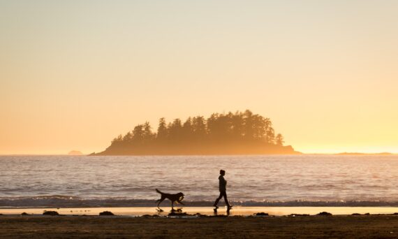 Strandpromenad i smultronstället Östa Stränder (dekorativ bild)
